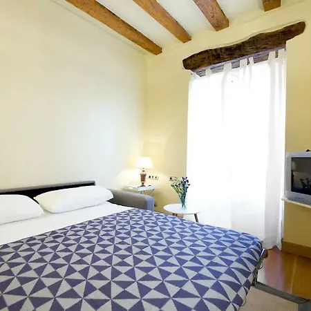 Fermin Apartment *